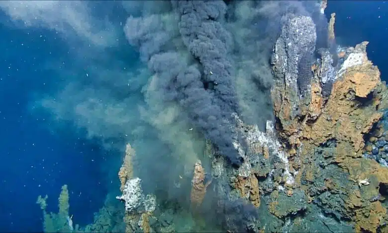 Here we see a volcanic hydrothermal vents on the ocean floor. Hot material is rising from it.