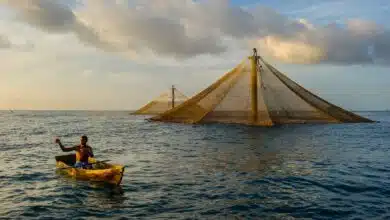 ¿Qué es la acuicultura? 8 ¿Qué es la acuicultura?