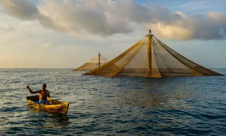 ¿Qué es la acuicultura? 1 ¿Qué es la acuicultura?