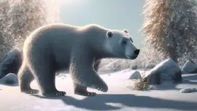 Biden nombra a John Kerry como enviado climático 9 Biden nombra a John Kerry como enviado climático