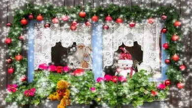 Comisión Antártica rechaza propuesta de área marina protegida 1 Comisión Antártica rechaza propuesta de área marina protegida