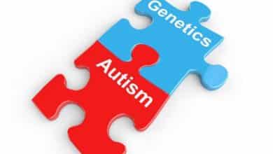 El descubrimiento de 18 nuevos genes relacionados con el autismo puede apuntar a nuevos tratamientos