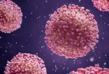 'Mini órganos' revelan cómo el coronavirus causa estragos en el cuerpo