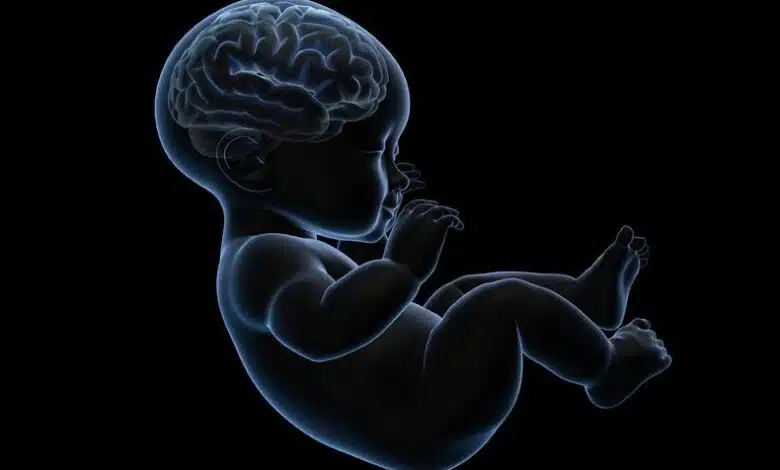El tratamiento experimental tiene como objetivo prevenir el daño cerebral en los bebés
