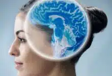La investigación sobre las conmociones cerebrales necesita cerebros femeninos