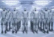 White robots in the room