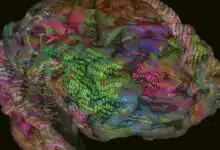Dónde se almacenan las palabras: el mapa de significado del cerebro