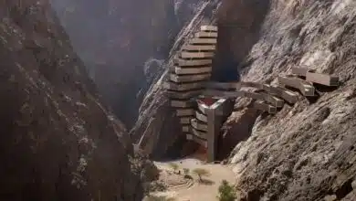 Neom lanza tres "hoteles boutique de lujo de alta gama" Leyja 1 A sustainable desert hotel complex in a Saudi Arabian nature reserve