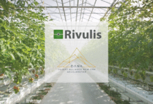 drip irrigation and hydroponics solutions from Rivulis.