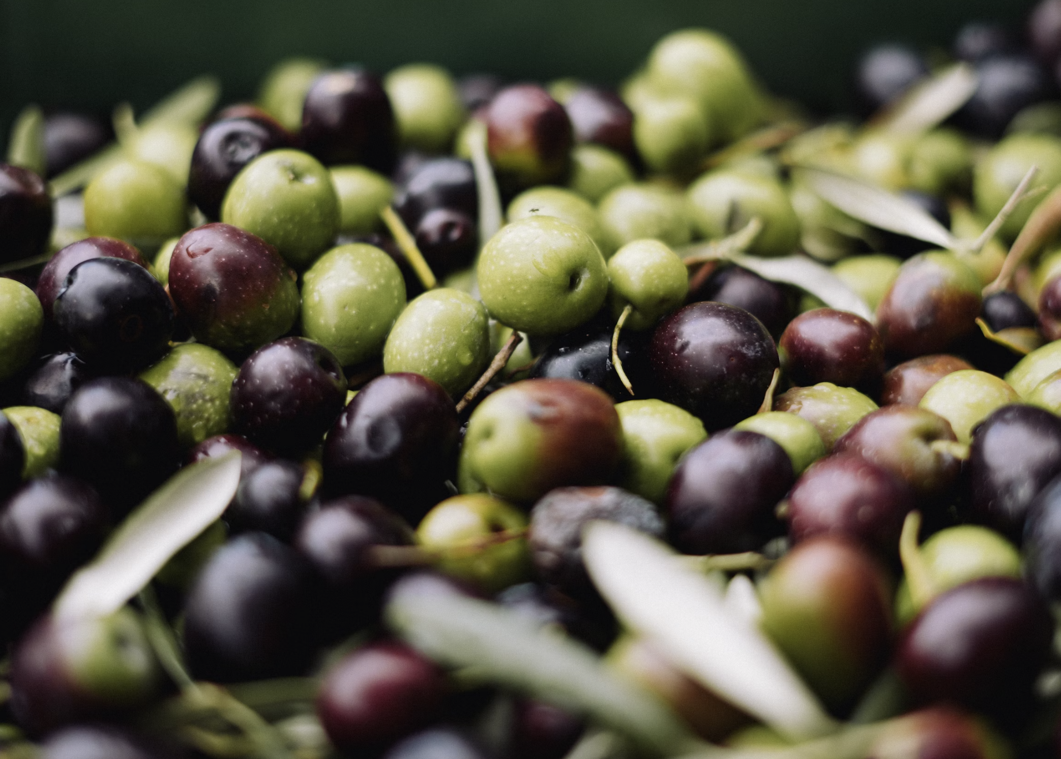 ¿Es seguro comer aceitunas negras? 3 Aceitunas fermentadas marinadas en casa