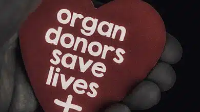 Flores, chocolates, donación de órganos: ¿estás ahí? 7 Flores, chocolates, donación de órganos: ¿estás ahí?