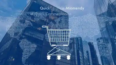 El auge del comercio rápido en la India en 2025 9 El auge del comercio rápido en la India en 2025