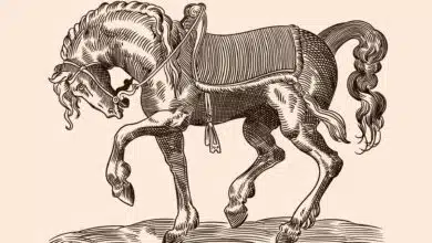 La fusión de pasado y futuro será la tendencia visual que destaque en 2024, afirma Freepik 1 La fusión de pasado y futuro será la tendencia visual que destaque en 2024, afirma Freepik